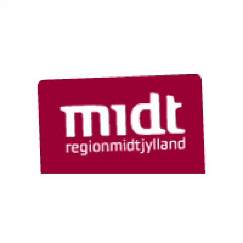 Økonomi- og datakonsulent søges til Region Midtjylland